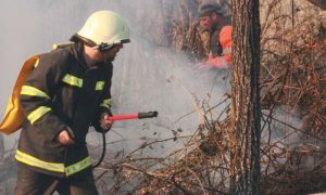 Izbio požar usred zime: Gori nisko rastinje u Popovom polju