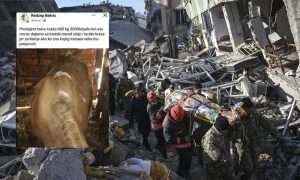 Humanista iz BiH: Prodaje kravu da pomogne stradalima u zemljotresu
