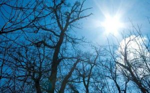 Danas se obilježava Svjetski dan meteorologije: Prošla godina bila najtoplija od kako se prate klimatske promjene