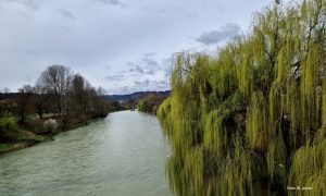 Poslije podne kiša: Sutra umjereno do pretežno oblačno