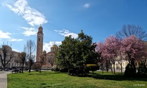 Proljeće uzima maha: Pretežno sunčano, temperatura do 24 stepena