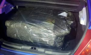 Policija pretresla vozilo: U gepeku pronašli 30 kilograma marihuane