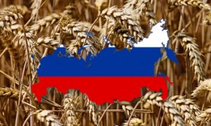 Rusija ruši rekorde: Od izvoza poljoprivrednih proizvoda zaradila 45 milijardi dolara
