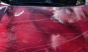 Morača očekuje da policija uhapsi vandale: Kamere snimile napadače koji su oštetili auta