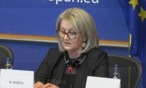 Krišto u Evropskom parlamentu: BiH nema čarobni štapić da promijeni retoriku iz Republike Srpske