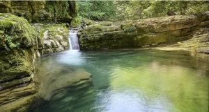 Netaknuta priroda zaslužuje adekvatnu zaštitu: Kanjon rijeke Cvrcke vjerovatno postaje spomenik prirode