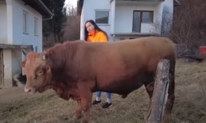 Emini (16) su bikovi zanimljiviji od društevnih mreža: Drugovima u školi je to smiješno VIDEO
