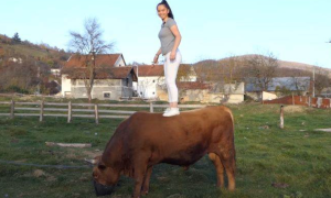 Talenat iz BiH: Ona ima 16 godina, a trenira bikove, vozi traktor i takmiči se na koridi VIDEO