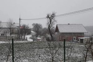 Sloga kuću gradi: Sedamnaestoro Bogdanovića živi pod istim krovom na surovoj planini, rade od jutra do sutra