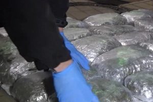 Uhapšen vozač cisterne: Zaplijenjeno više od 540 kilograma marihuane