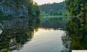 Pokrenuta inicijativa u Višegradu: Rijeka Rzav da se proglasi za zaštićeno područje