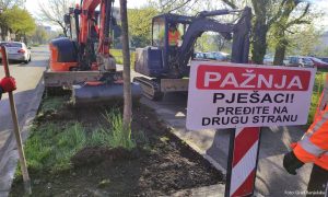 Velika akcija: Počela sadnja 110 sadnica u drvoredu na Bulevaru Stepe Stepanovića