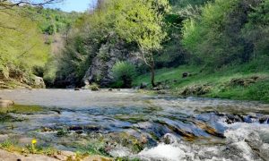 Iz Dajak kluba pozivaju na akciju: Planiraju očistiti korito rijeke Suturlije
