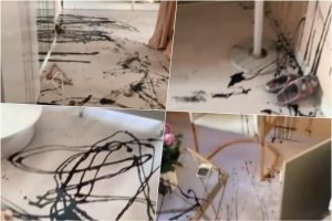 Lopovi opljačkali salon vjenčanica i odnijeli 40 modela: “Sve što smo imali je uništeno” VIDEO