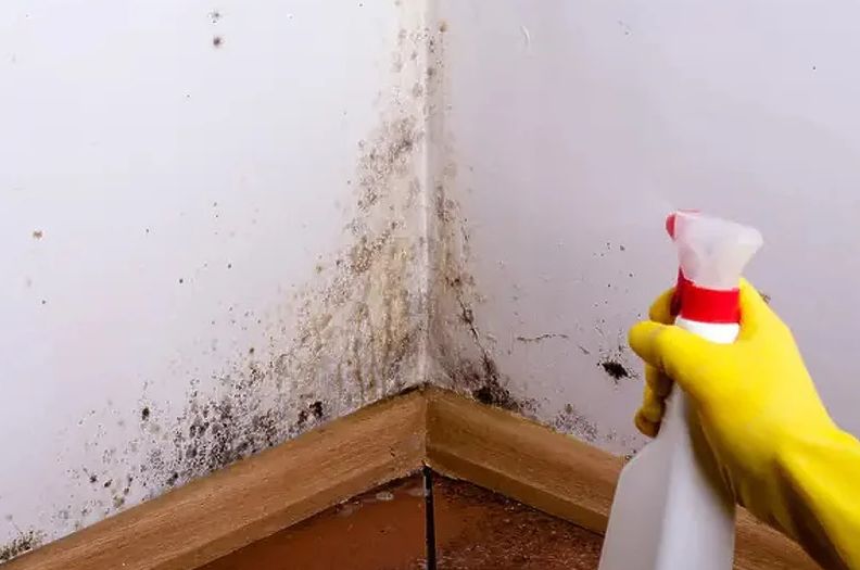 Ova tri sastojka su vam potrebna da napravite najbolje sredstvo za odstranjivanje vlage