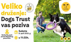 Ako volite pse, ovo nećete propustiti! U subotu veliko Dogs Trust druženje u Banjaluci