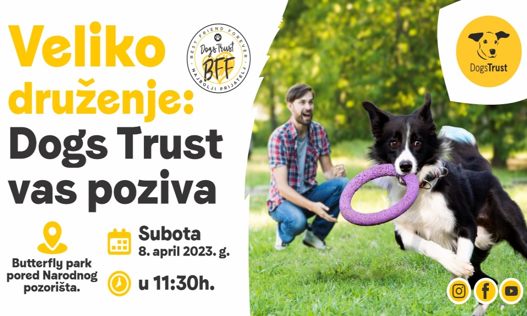 Ako volite pse, ovo nećete propustiti! U subotu veliko Dogs Trust druženje u Banjaluci