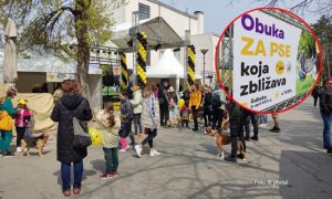 Uživancija i za pse i za vlasnike: Veliko Dogs Trust druženje u Banjaluci