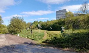 Uređenje pred 1. maj: U toku košenje trave na Banj brdu i Trešnjiku FOTO