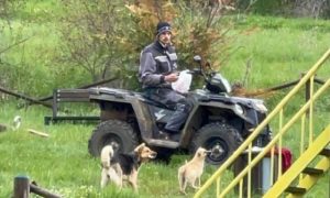 Ni životinje nisu sigurne: U dvorištu crkve u Novom Brdu otrovani psi