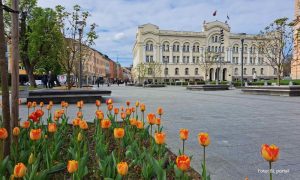 Proljeće nam kuca na vrata