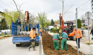 Ko gradi, taj i sadi: Bulevar Stepe Stepanovića bogatiji za preko 100 novih sadnica