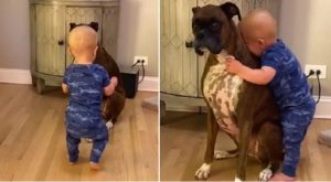 Presladak prizor: Dječak napravio prve korake samo kako bi zagrlio svog psa VIDEO