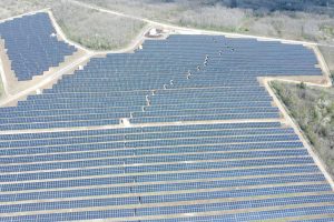 Snage 9,9 megavata: Otvorena najveća solarna elektrana u Srbiji