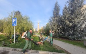 Sređivanje zelenih površina: Počelo košenje na području grada