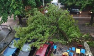 Posljedica nevremena u Banjaluci: Stablo palo u Obilićevu