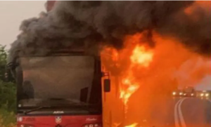 Vatra “progutala” autobus! Od vozila ostala gola metalna konstrukcija VIDEO/FOTO