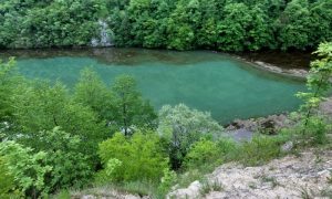 Alge procvjetale u Vrbasu: Iz banjalučkog Vodovoda garantuju za kvalitet vode za piće