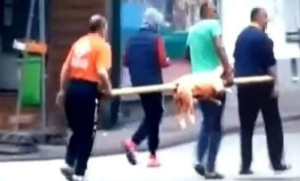 Zgroženi ljudi alarmirali policiju: Četiri muškarca ulicom nose drveni ražanj i na njemu životinju