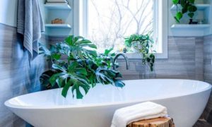 Najnoviji trend enterijera: Četiri idealne biljke za kupatilo