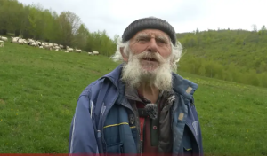 U trećoj životnoj dobi pun planova: Najstariji čoban u BiH voli ovce kao svoju djecu VIDEO