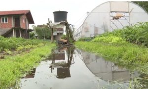 Prepušteni sami sebi: Propali usjevi, poplavljene parcele, neprohodni putevi u Priječanima