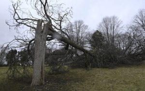 Tornado razorio gradić na jugu Teksasa: Poginula jedna osoba VIDEO