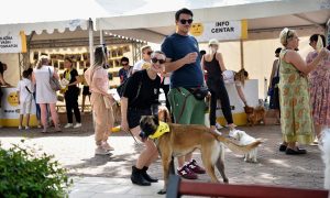 Fondacija Dogs Trust BiH: Upriličeno veliko druženje za vlasnike i ljubitelje pasa