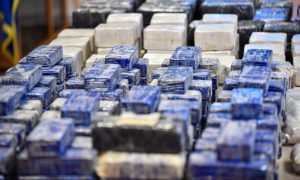Policija zaplijenila kokain: Procijenjena vrijednost veća od 20 miliona evra