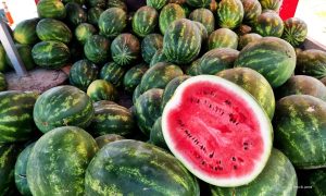 Proizvođači u problemima: Prepolovljen prinos lubenice u Srpskoj