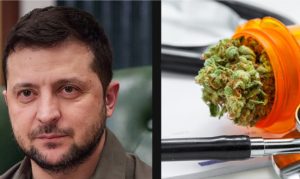 Zelenski želi legalizovati marihuanu: Nijedan Ukrajinac ne treba trpiti bol i stres