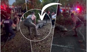 Borba čovjeka i zvjeri: Bez razmišljanja skočio na aligatora koji se pojavio kod škole VIDEO