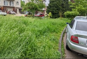 Ulice na Laušu zarasle u travu: Mještani se plaše za djecu
