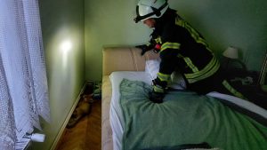 Lisica ušla u spavaću sobu, smjestila se pored kreveta: Šokirana vlasnica zvala vatrogasce u pomoć