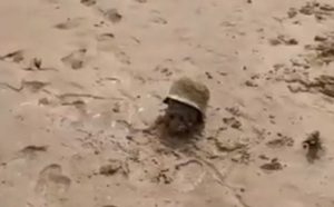 Lobanje i šljemovi nacističih vojnika u mulju Dnjepra nakon pražnjenja rezervoara u Novoj Kahovki VIDEO