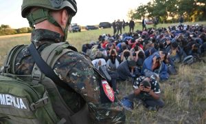 Akcija policije: Na području Subotice pronađeno više do 110 ilegalnih migranata