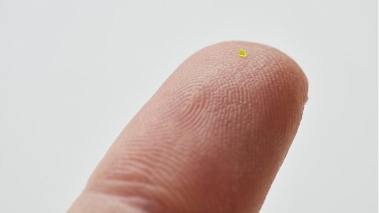 Može se vidjeti samo mikroskopom: Torbica “manja od zrna soli” prodata za 63.750 dolara FOTO