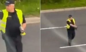 Kao da je skrivena kamera: Policajac istrčao iz žbunja da zaustavi vozilo VIDEO