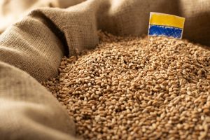 Do 15. septembra produžena ograničenja uvoza žitarica iz Ukrajine