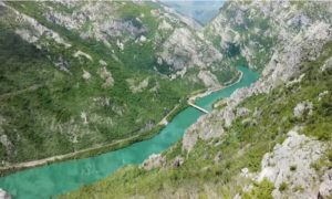 Žile kucavice zajednica i ekosistema: Regionalna inicijativa – očuvanje 13 rijeka Jugoistočne Evrope